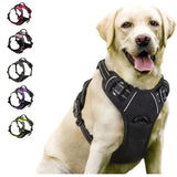 Comfort Dog Harness Set