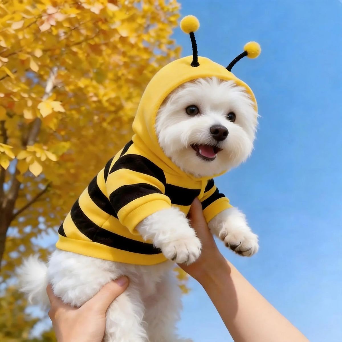 1PCS Bee Transformation Pet Hoodie Autumn Winter Dog Clothes For Small Puppy Teddy Schnauzer Cat Cosplay Costume