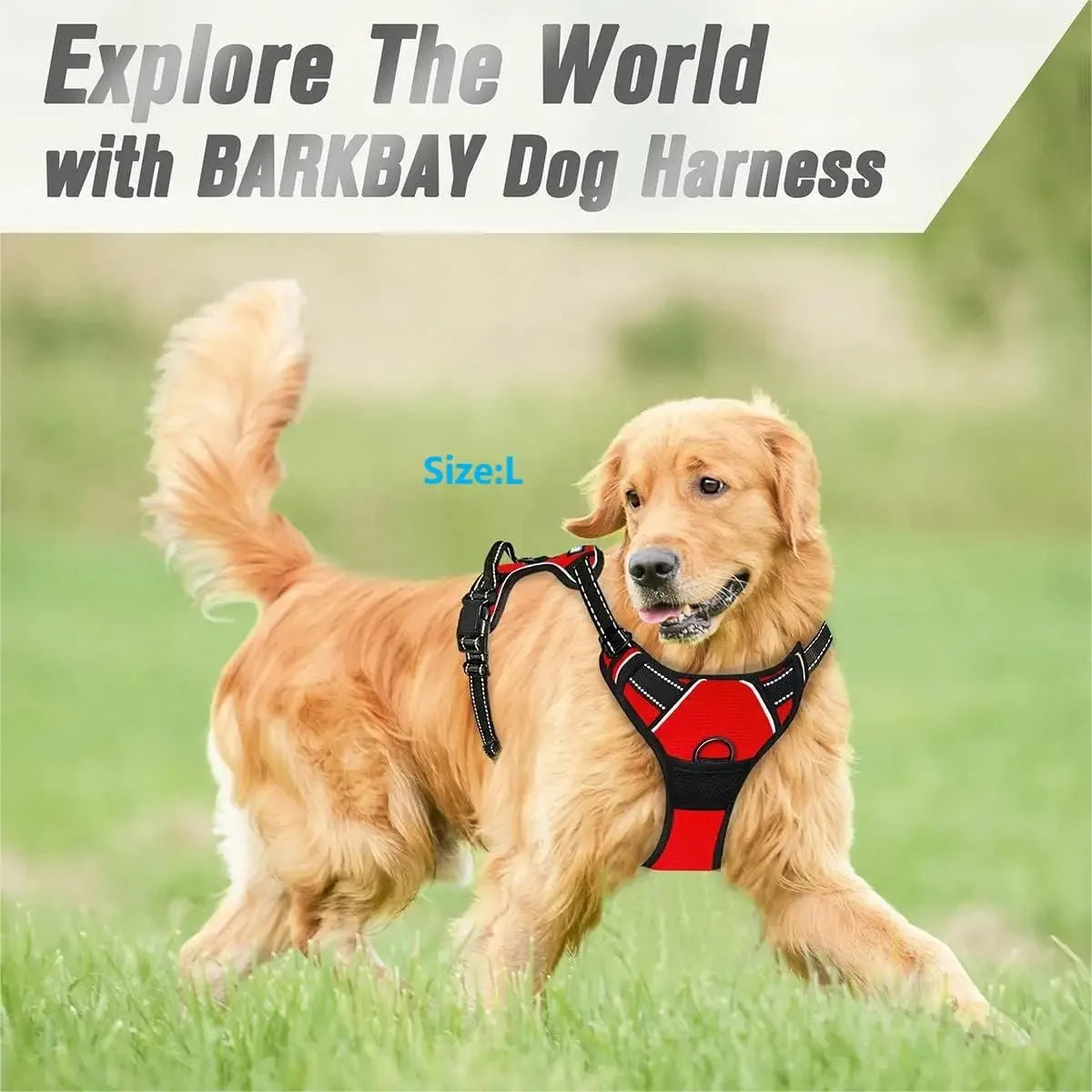 Dog Collars Harness Big Vests Leash Pet Shop Everything for Dogs Leather Puppy Accessories Medium Small Set — image 3