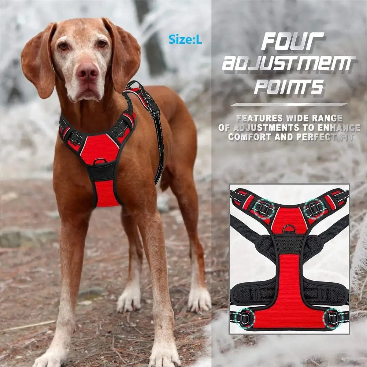 Dog Collars Harness Big Vests Leash Pet Shop Everything for Dogs Leather Puppy Accessories Medium Small Set — image 2