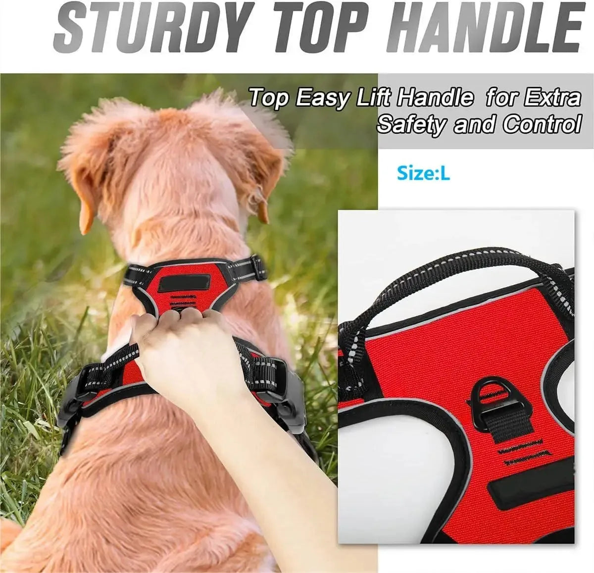 Dog Collars Harness Big Vests Leash Pet Shop Everything for Dogs Leather Puppy Accessories Medium Small Set — image 4