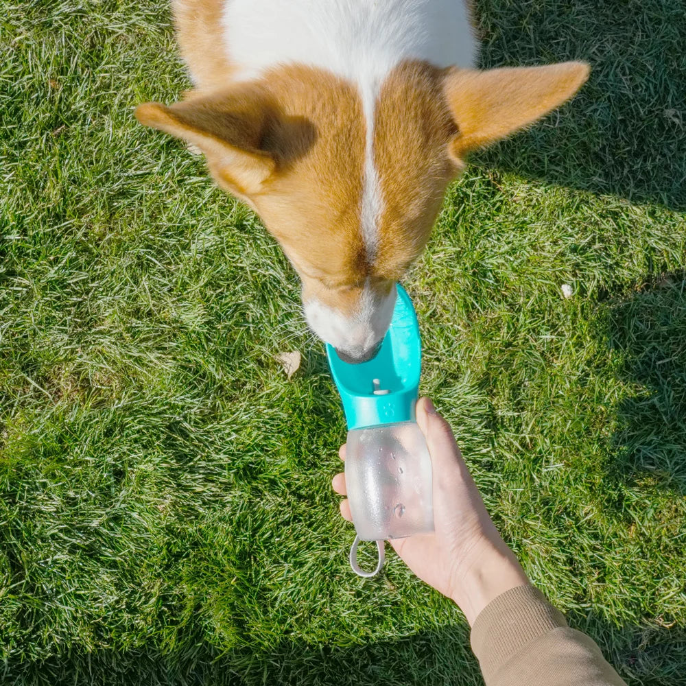 Pet Dog Water Bottle 300ML Puppy Drinking Bowls For Small Medium Dogs Cats Hiking Portable Cat Feeder Golden Retriever Supplies — image 5